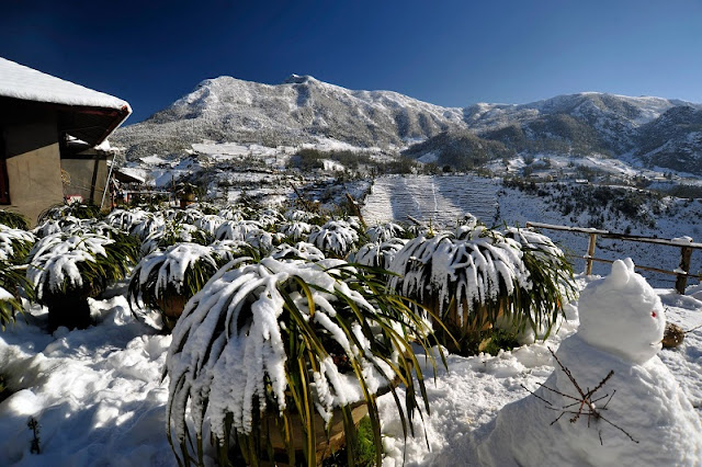 Sapa Winter Festival 2017 Sapa Winter Festival 2017