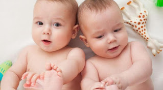 Cara Agar Memiliki Anak Kembar