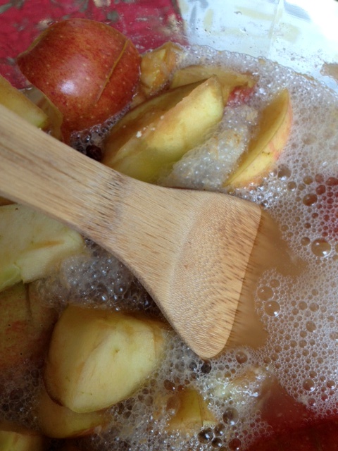 Entropy Kitchen Making Apple Cider Vinegar entropy-kitchen-making-apple-cider-vinegar
