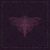 Remix // Sex Of Insects - All I Have A Know (Banco De Gaia, Anatoly Ylotana Remixes)