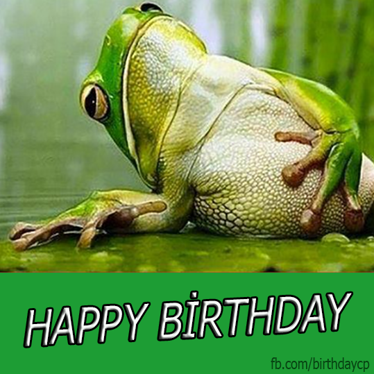 List 90+ Pictures Happy Birthday Images With Frogs Excellent 10/2023
