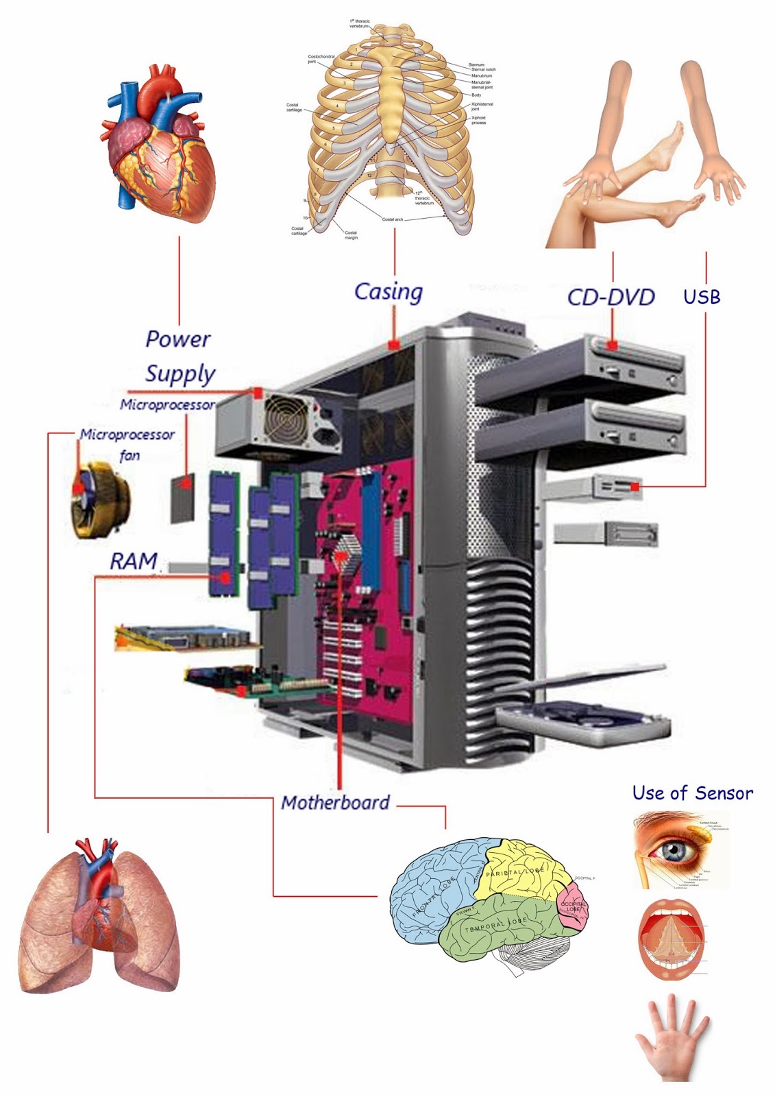 Anatomy Of A Desktop Computer