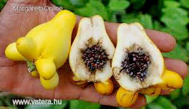 [Image: TRAI%2BDU%2B8.jpg]