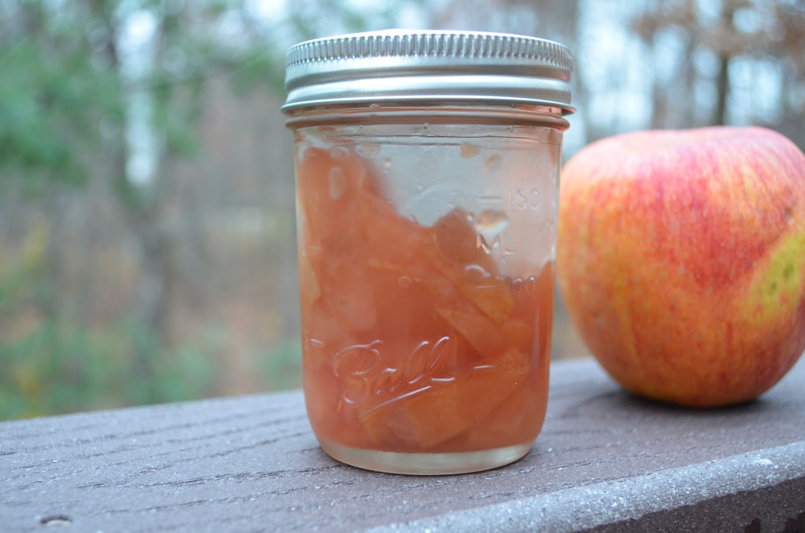 The Flying Quiche Apple Butter & CandiedPickled Apples