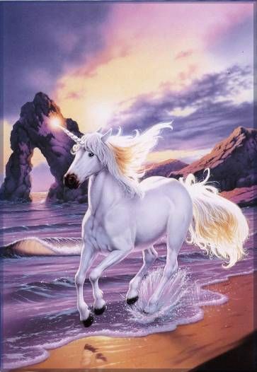 Las Palabras Del Silencio Unicornio