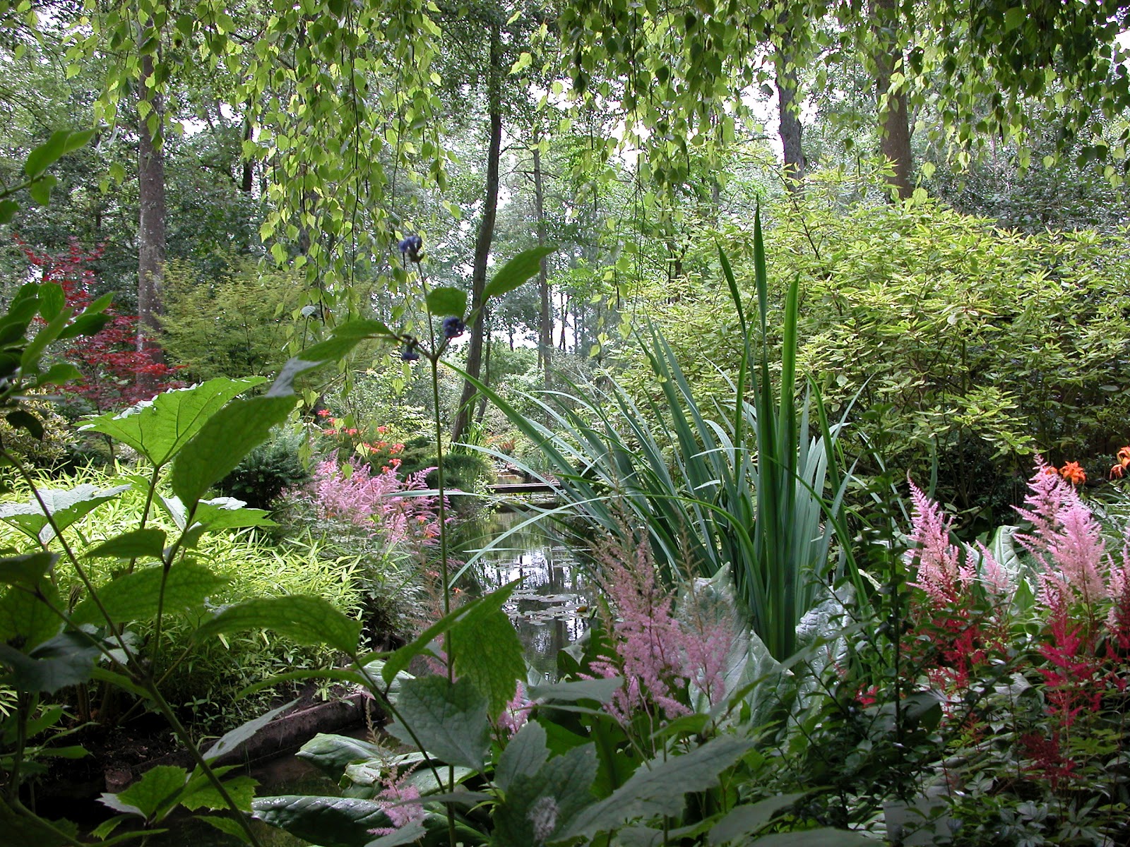 ARBORETUM DES PRES DES CULANDS 2012