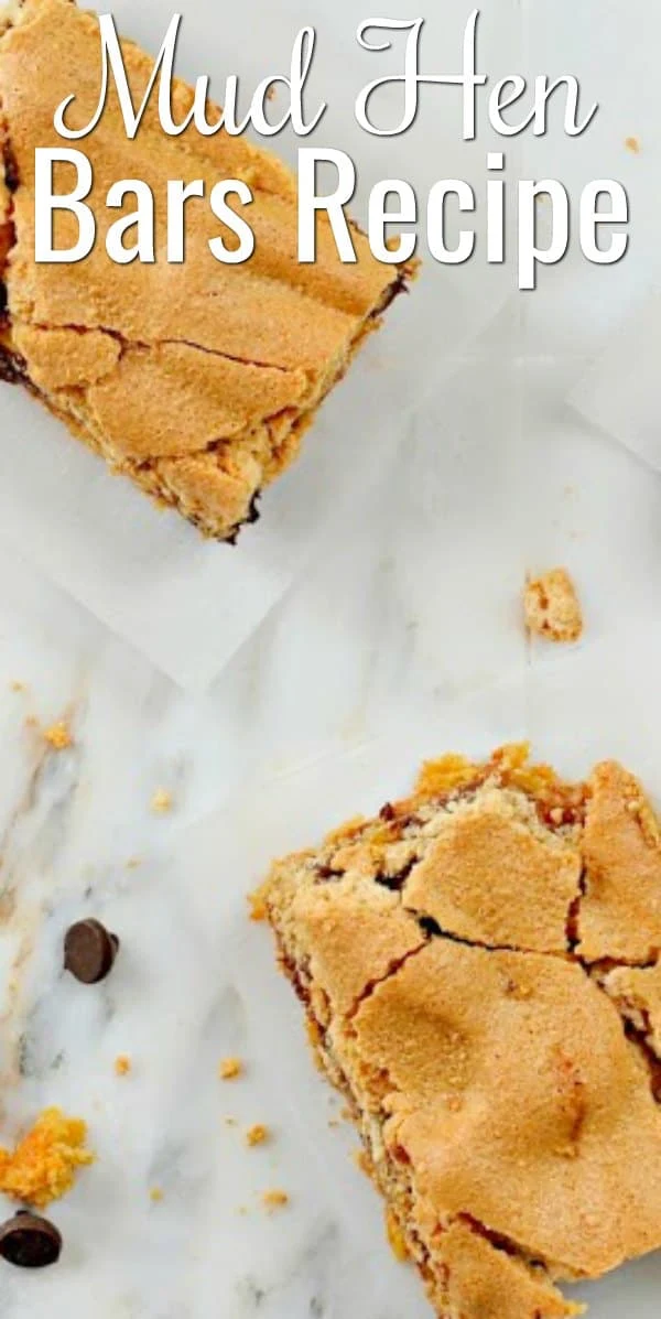 Mud Hen Bars recipe are a favorite dessert bar! They are a must make cookie bar from Serena Bakes Simply From Scratch.