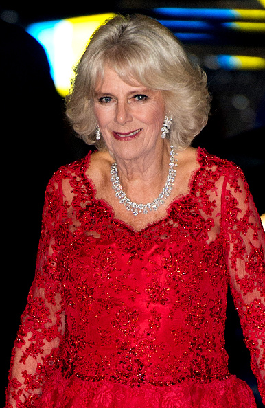 Royal Family Around the World: Prince Charles, Prince of Wales and