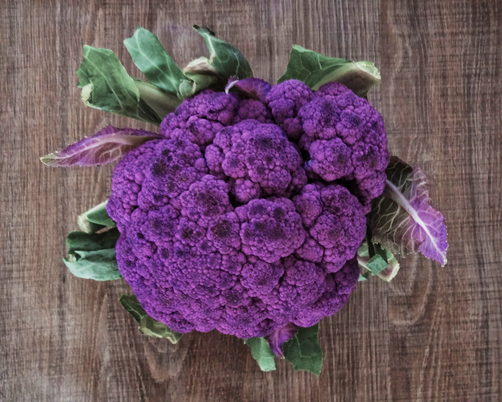 basteln malen Kuchen backen: Blumenkohl- Kokos Suppe