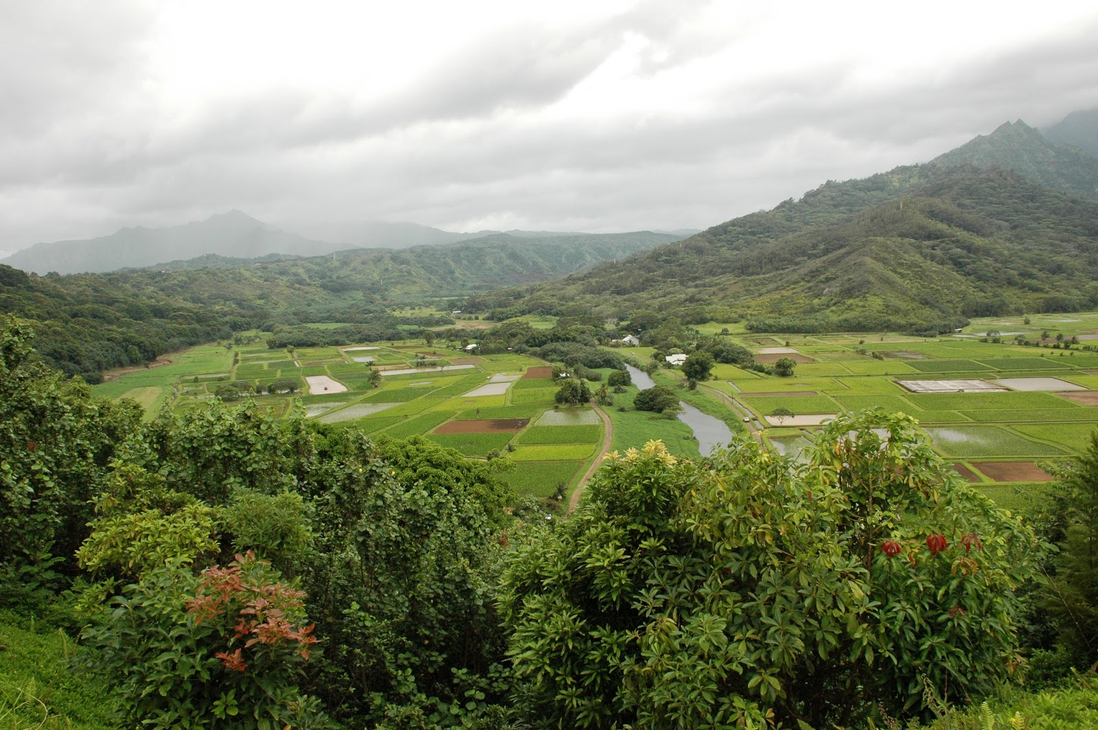 Patrick Tillett The Beach at Tunnels Reef Kauai