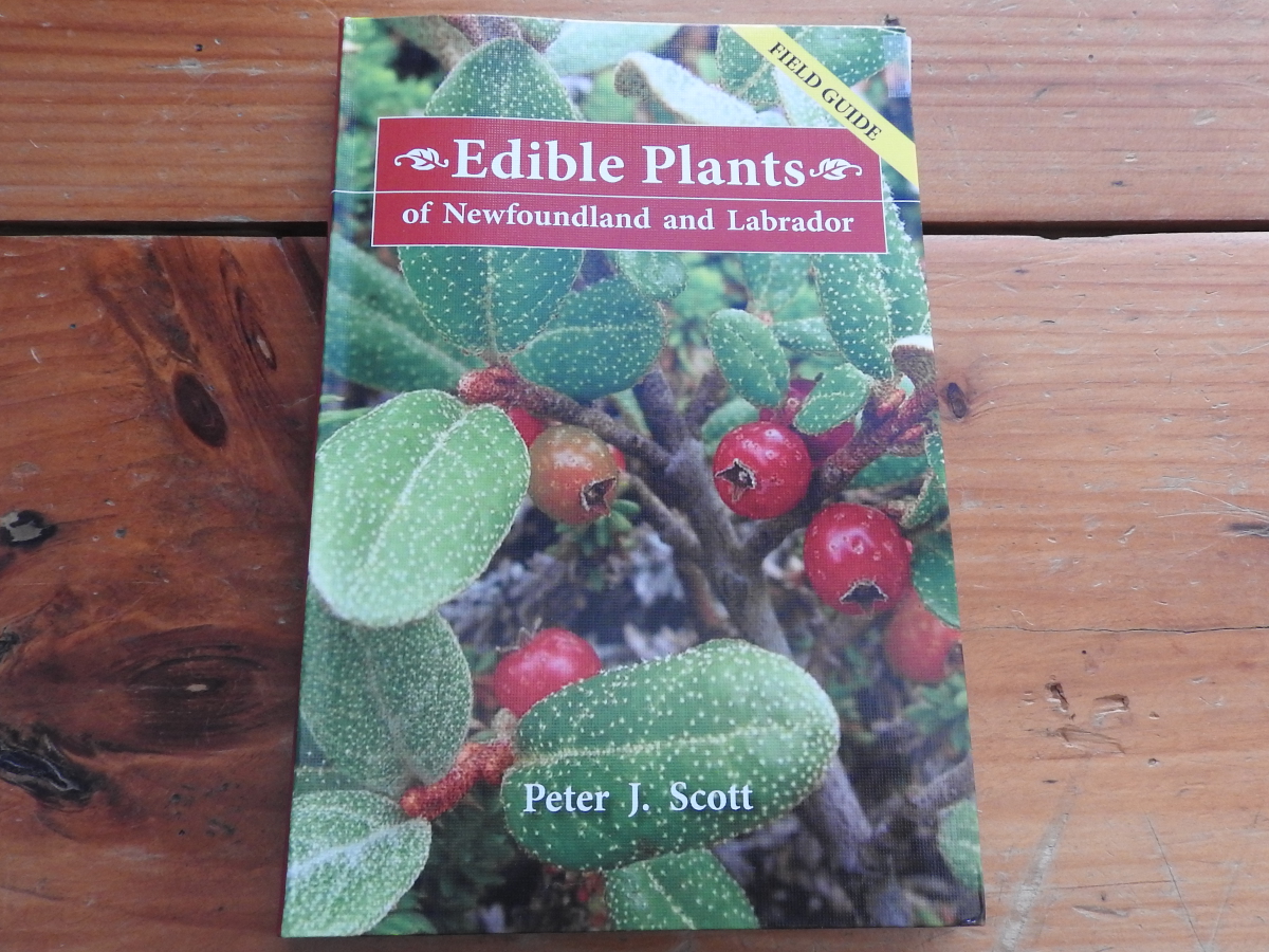 Newfoundland Tourist Information Edible Plants of Newfoundland and