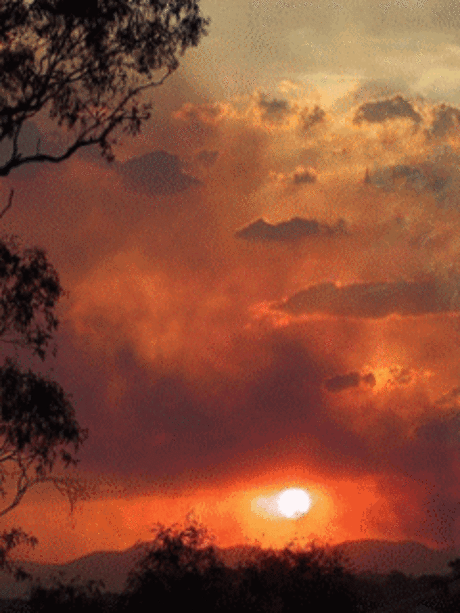 During the raining seasons we would check the weather forecast, monitor how cloudy is the sky, and whether there are strong wind, lightning or thunder, before we attempt to go out to the open road of the Park Connector Networks (PCN).