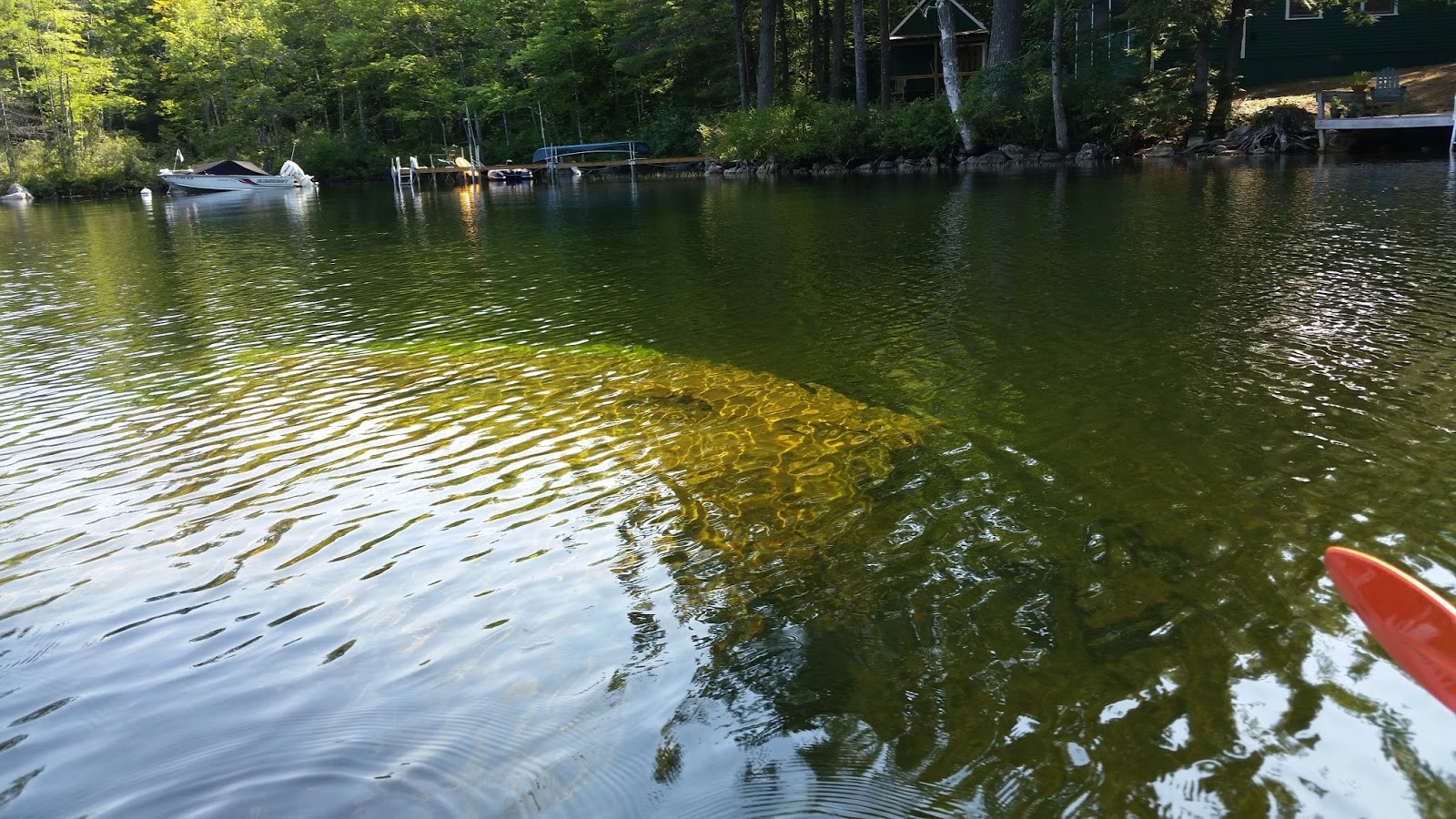 Recreational Kayaking in Maine Peabody Pond, Sebago/Bridgton, Maine