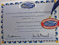 Santa Barbara Channel Certificate and Medal