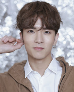Nama Pemain Caesar Wu Pemeran Xi Men Yan Di film Meteor Garden 2018 Remake Biodata Caesar Wu Pemeran Xi Men Yan Di film Meteor Garden 2018 Remake