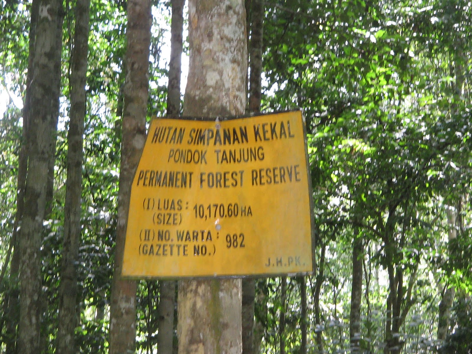 Fakta Berkaitan Hutan Simpan Pondok Tanjung ~ RimbaGunong