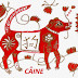 Horoscop chinezesc 2015 - Caine