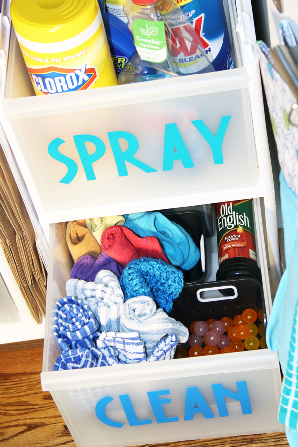 The Best Ways To Organize Under The Kitchen Sink Blue I
