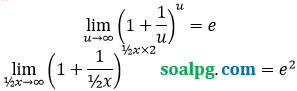 bahas limit euler tak hingga