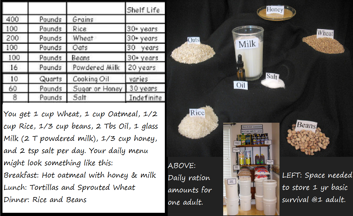 Basic Food Storage Items