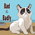 Bad vs. Badly Grammar Rules