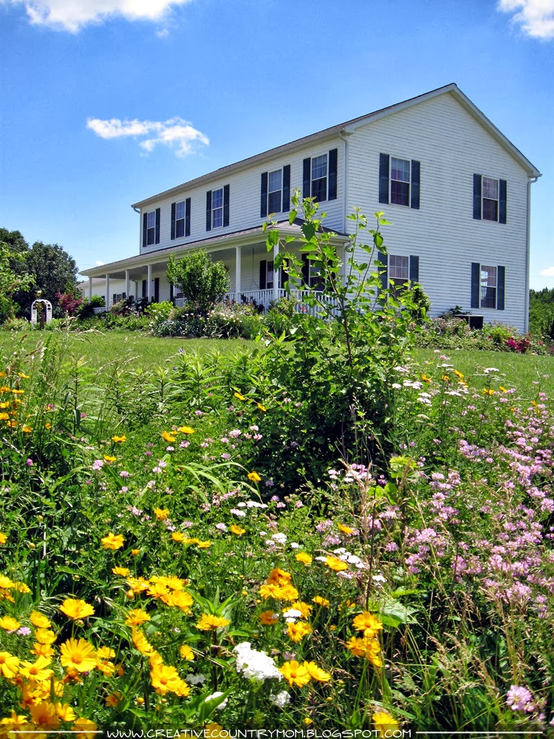 Farmhouse landscaping plants Idea