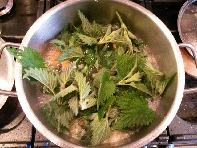 Foraged Wild Food - Nettle Soup