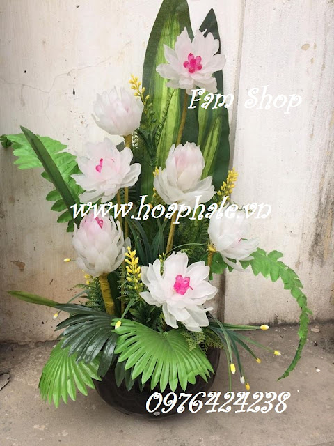 Hoa đá pha lê ở Đại Mỗ Hoa da pha le o Dai Mo