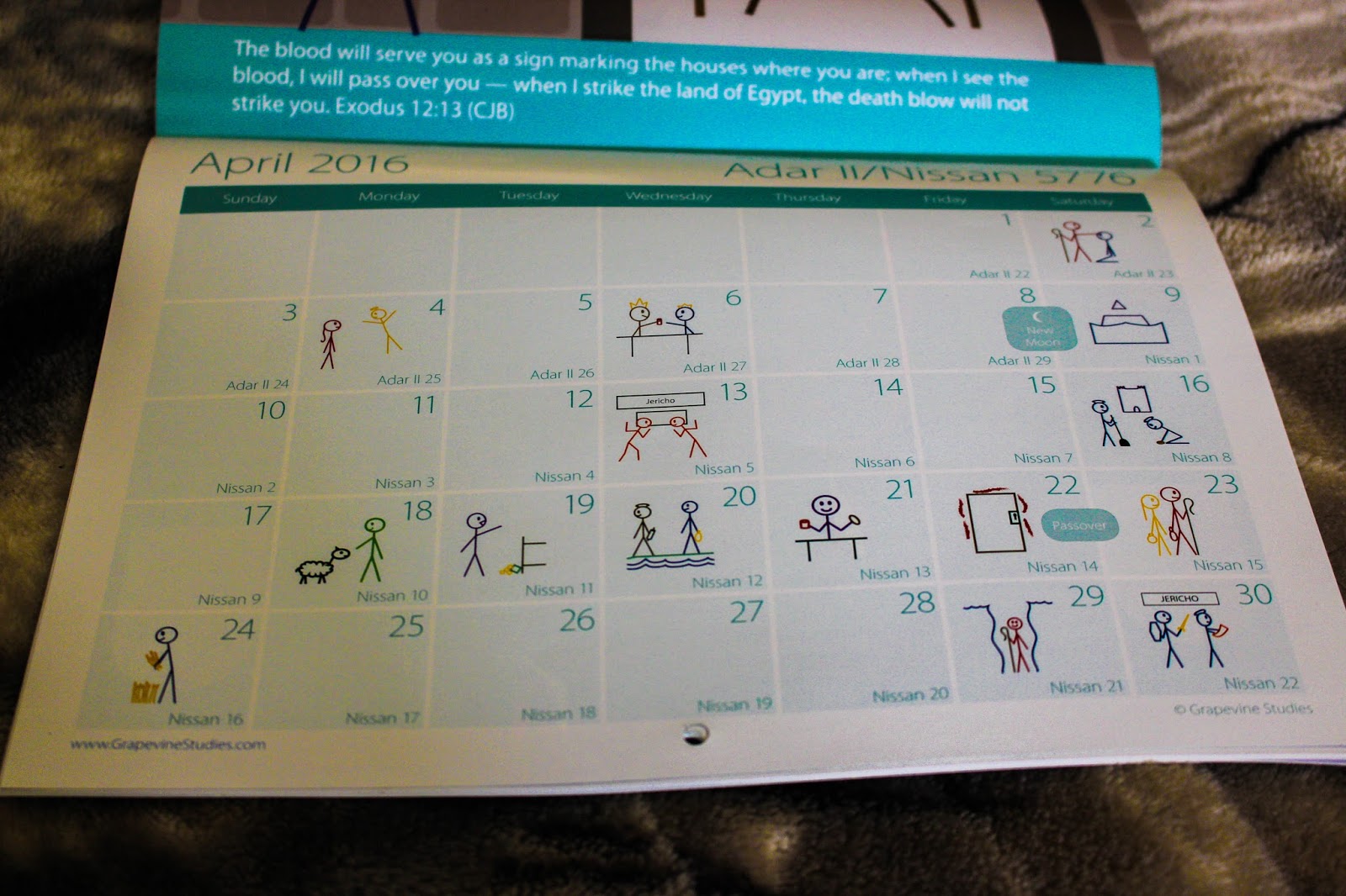 Counting Pinecones 2016 Grapevine Studies Calendar (Review)