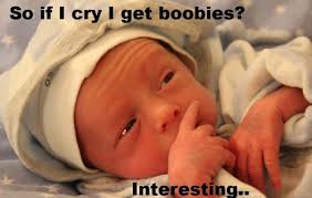 funniest baby quotes pregnancy quotes funny