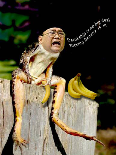 Image result for images of ibrahim ali the frog