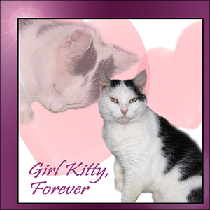 Farewell Girl Kitty