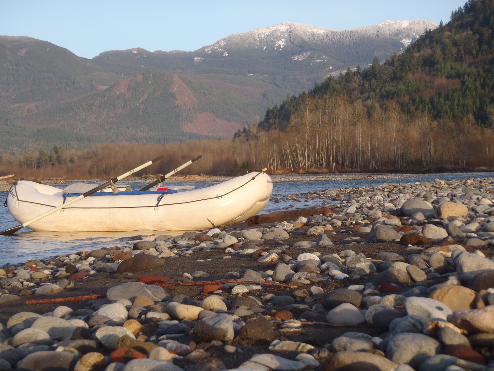 Adventure Cascades back Bald Eagles!