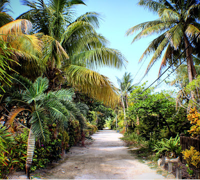 Remaxvipbelize - Paco's Tiki Bar