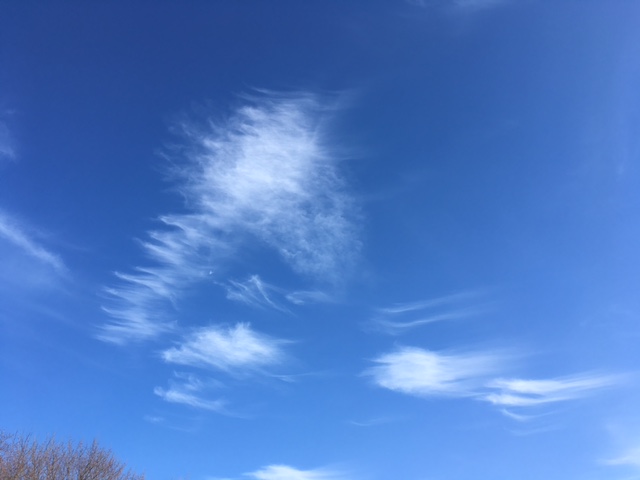Ramblin' with AM: Skywatch Friday - Mares Tails