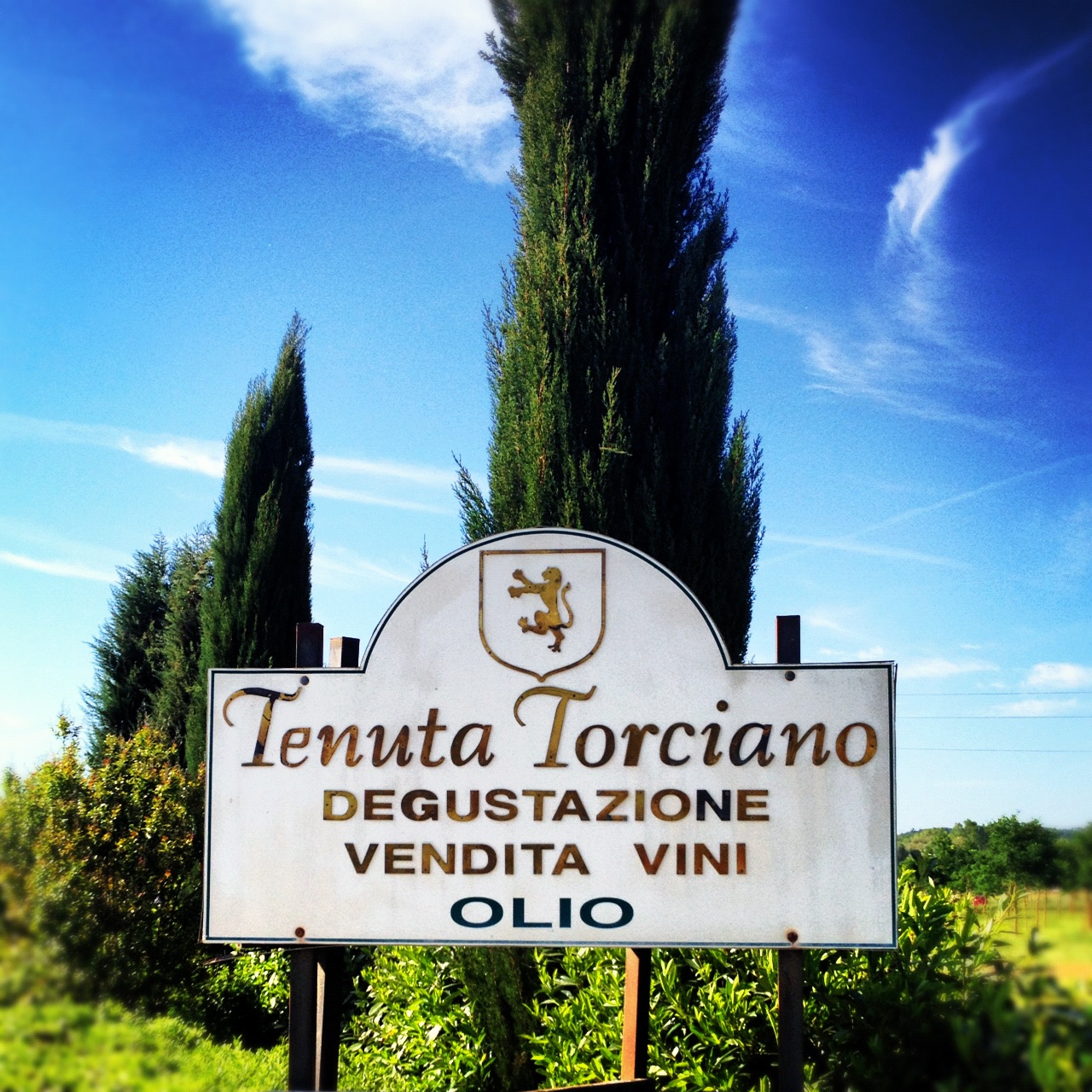 Blog of Torciano Winery
