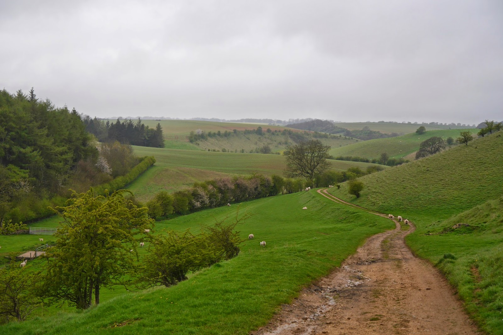 Walking in the country Hazleton