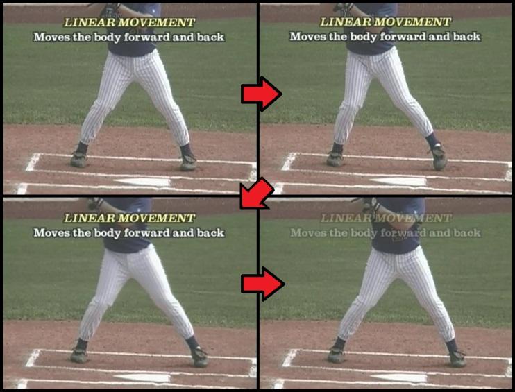 Anatomy of Baseball Anatomy of Hitting a Baseball