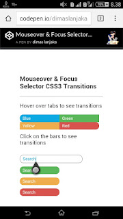 Mouseover & Focus Selector CSS3 Transitions Code HTML and CSS3