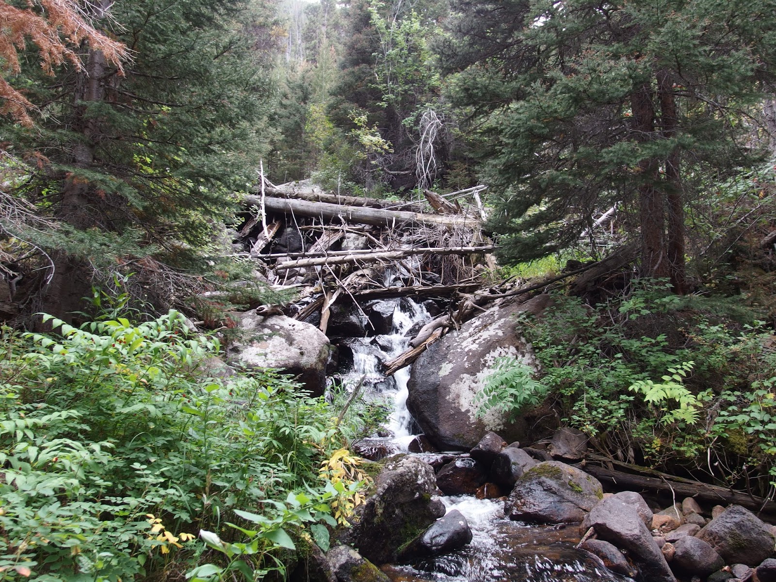 Hiking Rocky Mountain National Park The Gable, Cub Lake, Cub Creek
