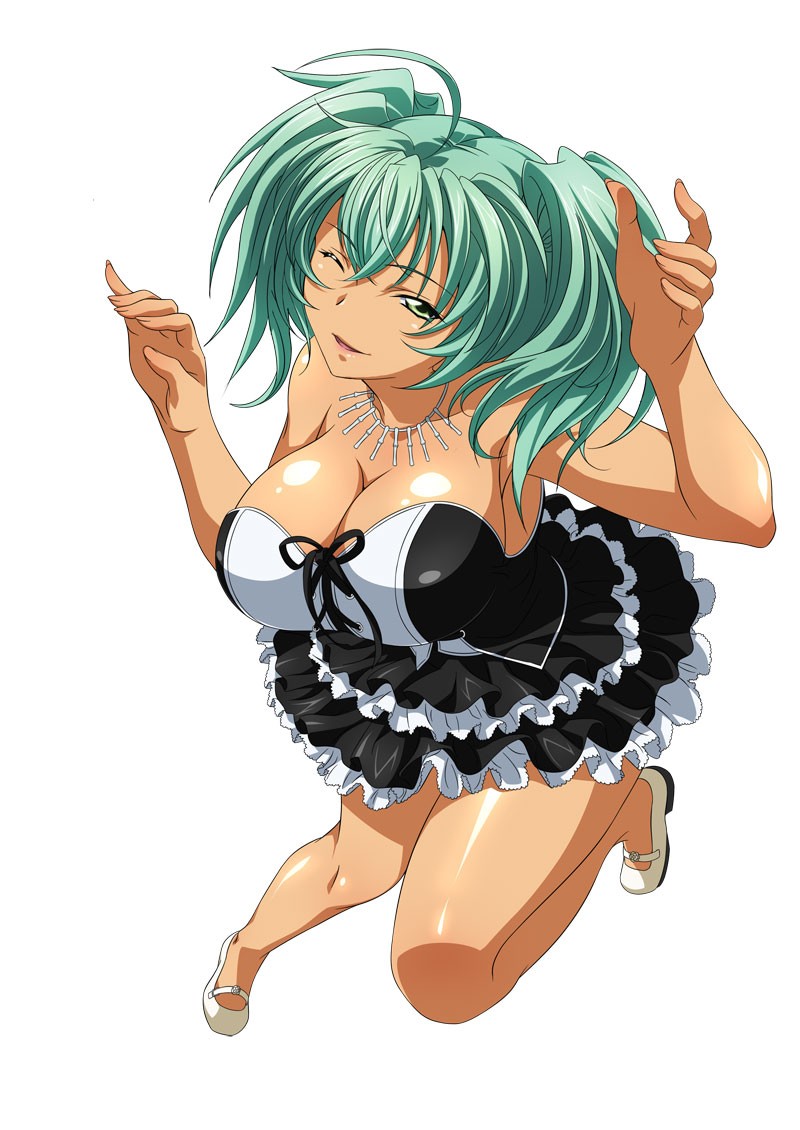 Ikkitousen Mega Post: Housen Ryofu.