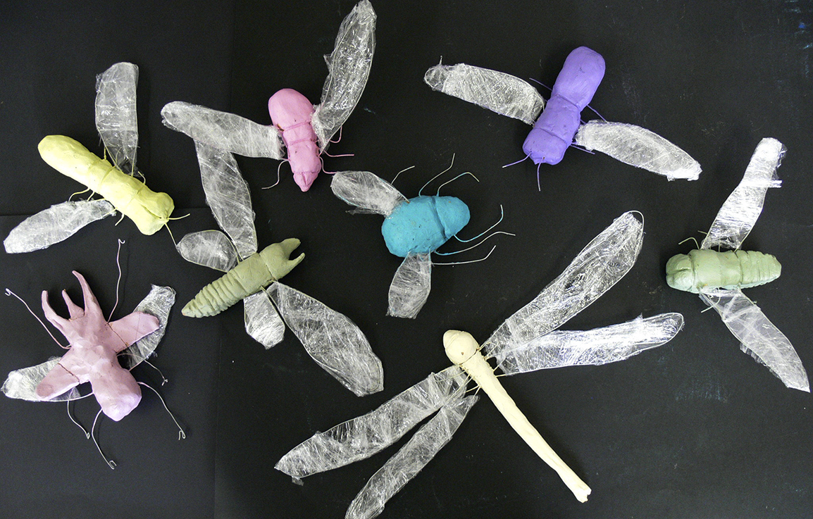 Komeenszien Gevleugelde insecten