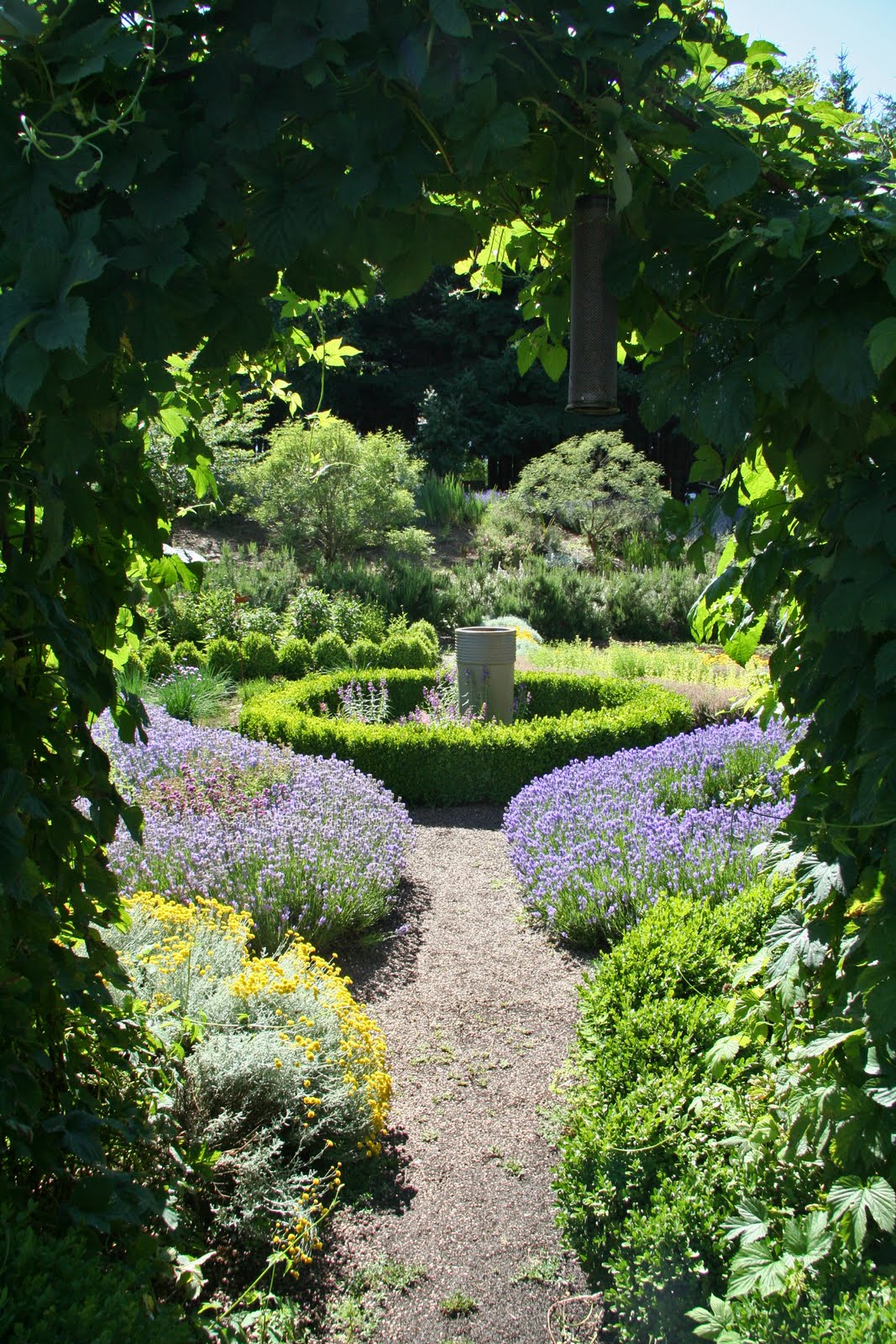 Daffodils & Daydreams Nursery Visit Red Ridge Farms in Dayton, Oregon