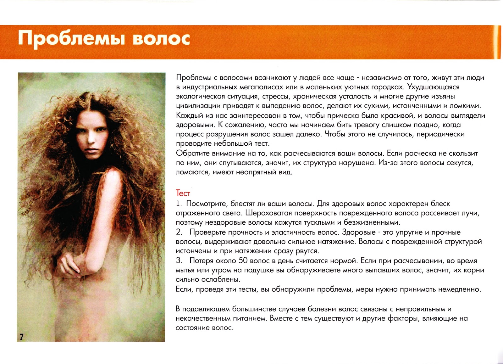 Волосы встали дыбом. Волосы дыбом фразеологизм. Эластичность волос. Как называются волосы. Волосы человека.