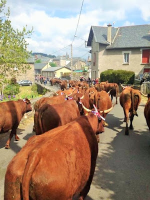 la laiterie de paris, montée en estive, vache salers, cantal, salers tradition, gaec salat, fromage, transhumance cantal, fête de l'estive allanche, blog fromage, blog fromage maison, cloche vache, faire du fromage, fabrication cantal, fabrication salers