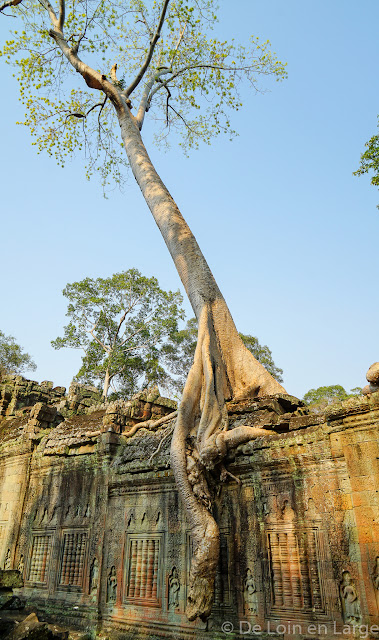 Preah Khan - Angkor - Cambodge