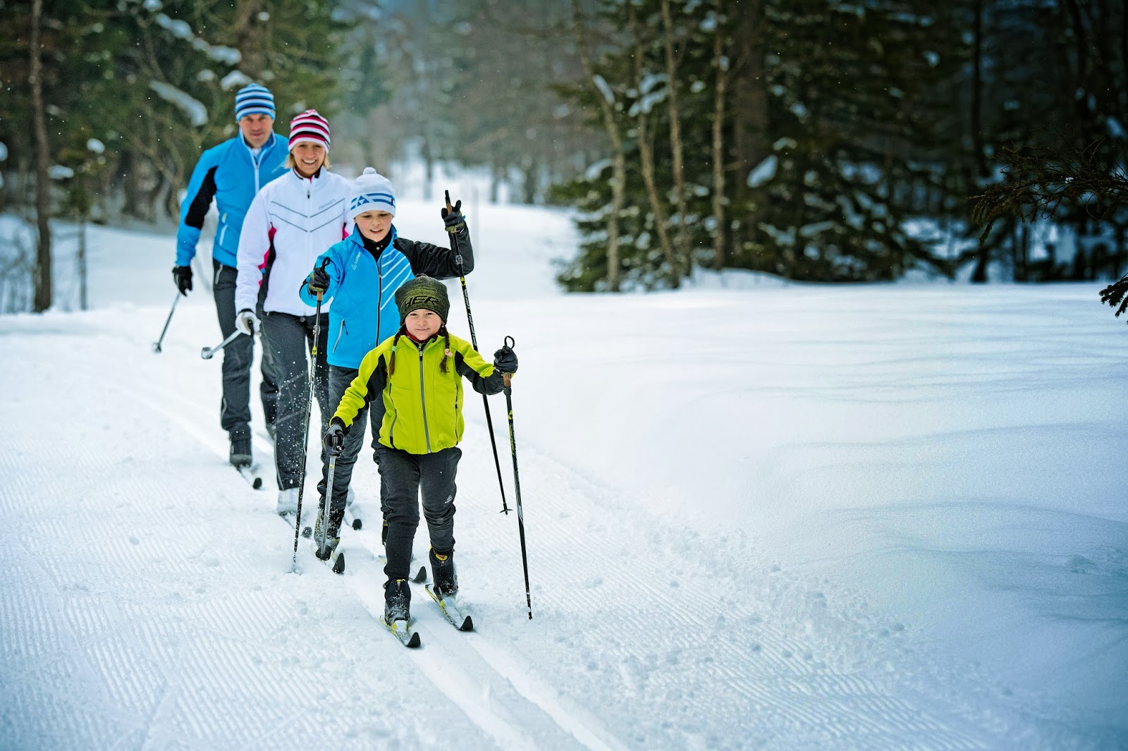 Семья лыжников. Семья катается на лыжах. Прогулка на лыжах. Лыжная прогулка в лесу. Семья на лыжной прогулке.