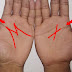 What is the meaning of X and M marks on palms
| Timesok.com