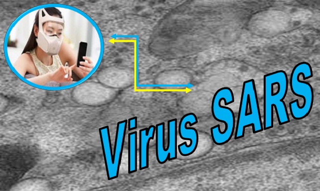 Pengertian SARS Serta Gejala Dan Cara Mengobati / Pencegahan Pengertian SARS Serta Gejala Dan Cara Mengobati / Pencegahan