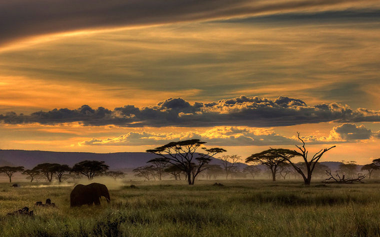 Africa by Amnon Eichelberg - L'Afrique